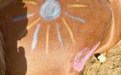 Pony-Freizeit
